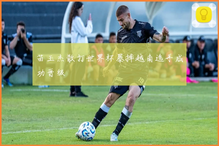苗玉杰散打世界杯暴摔越南选手成功晋级