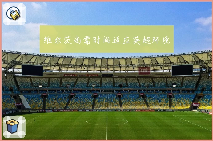 维尔茨尚需时间适应英超环境