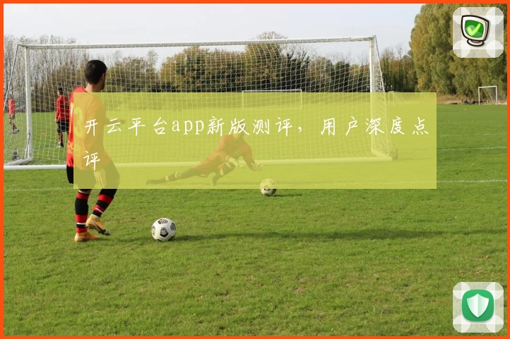 开云平台app新版测评，用户深度点评