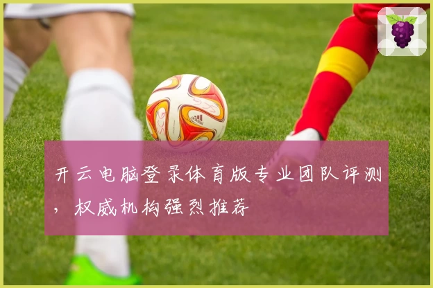 开云电脑登录体育版专业团队评测，权威机构强烈推荐