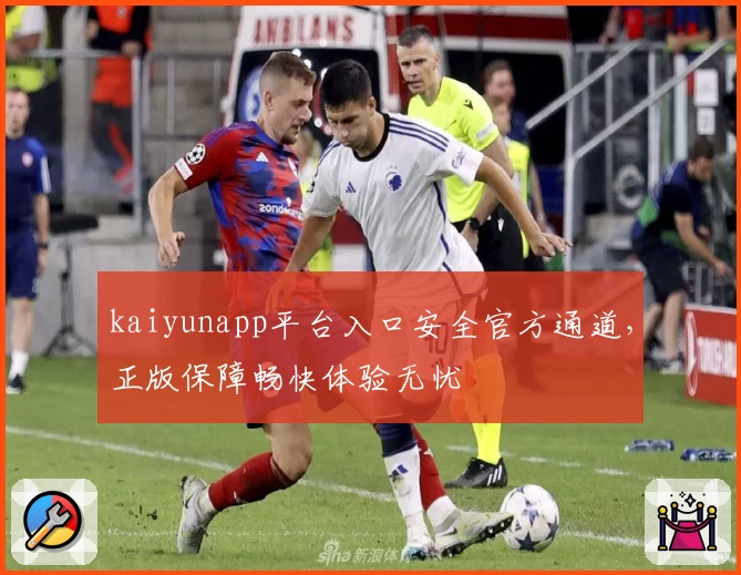 kaiyunapp平台入口安全官方通道，正版保障畅快体验无忧