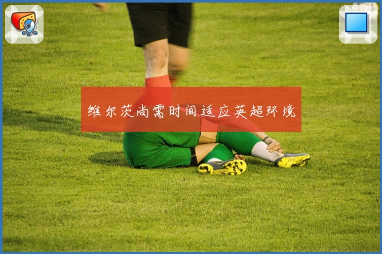 维尔茨尚需时间适应英超环境