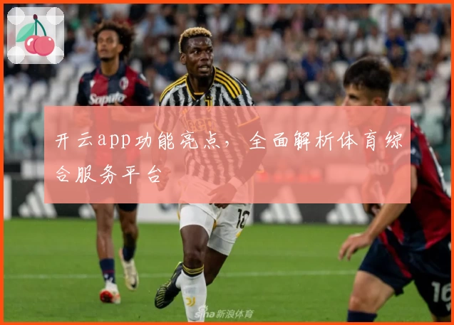开云app功能亮点，全面解析体育综合服务平台