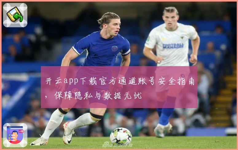 开云app下载官方通道账号安全指南,保障隐私与数据无忧